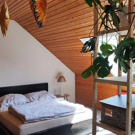 Big Cozy Entire Family Apartment